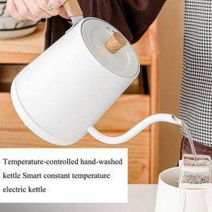 Temperature-controlled hand-washed kettle Smart constant temperature